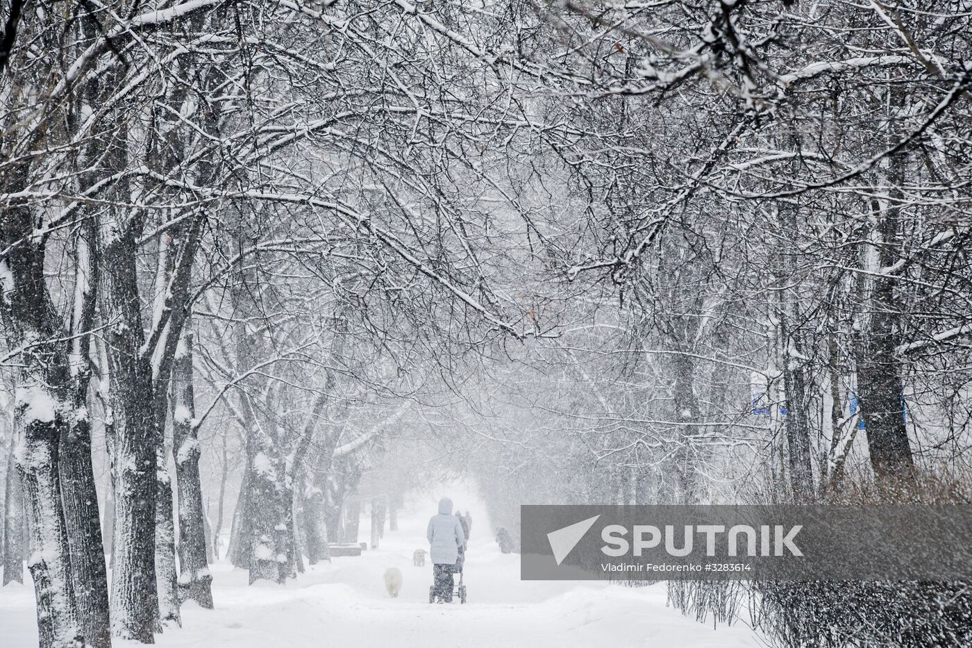 Snowfall in Moscow