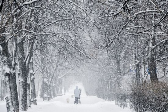 Snowfall in Moscow