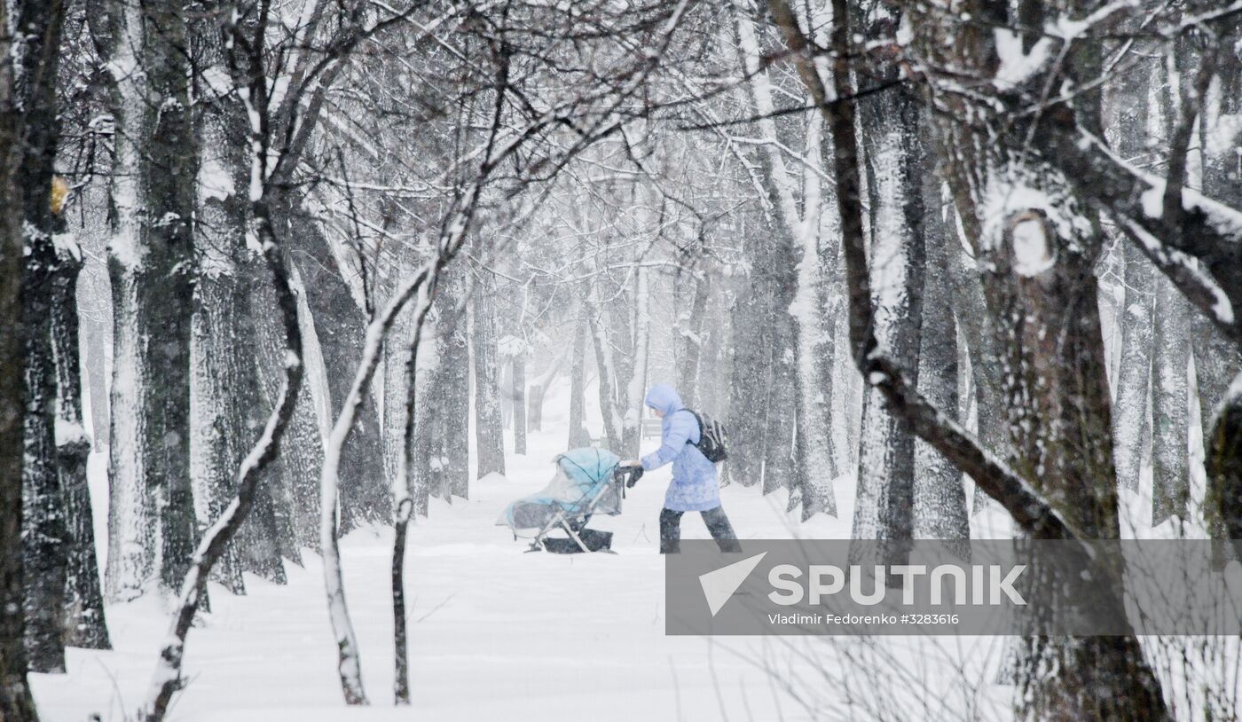 Snowfall in Moscow
