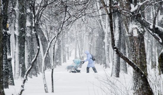 Snowfall in Moscow