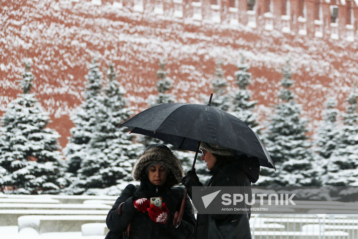 Snowfall in Moscow