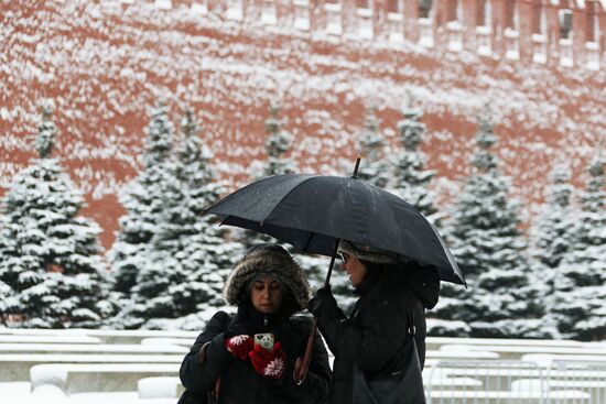 Snowfall in Moscow