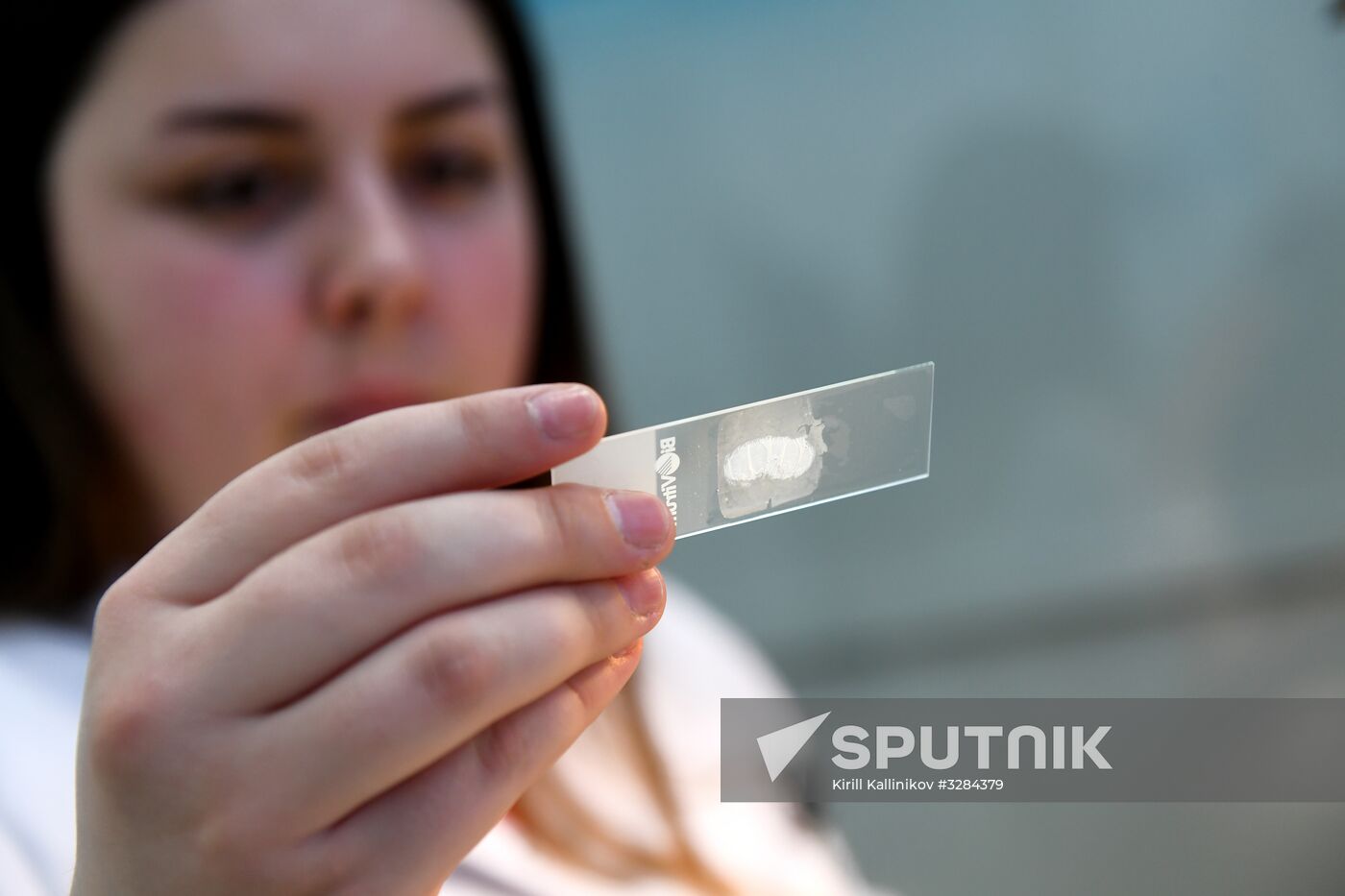 Cancer diagnosis digital laboratory opens