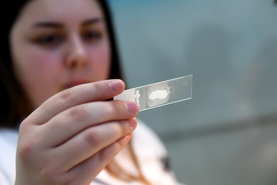 Cancer diagnosis digital laboratory opens