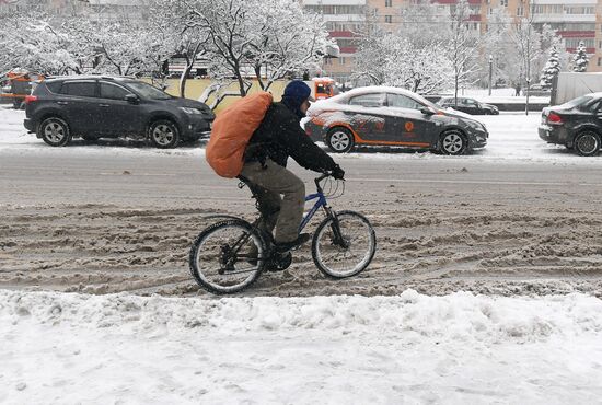 Snowfall in Moscow