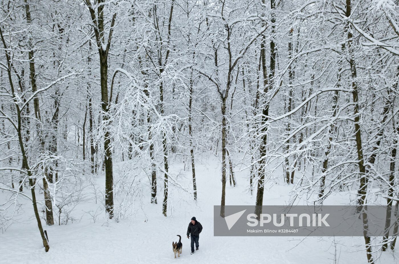 Snowfall in Moscow