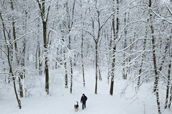 Snowfall in Moscow