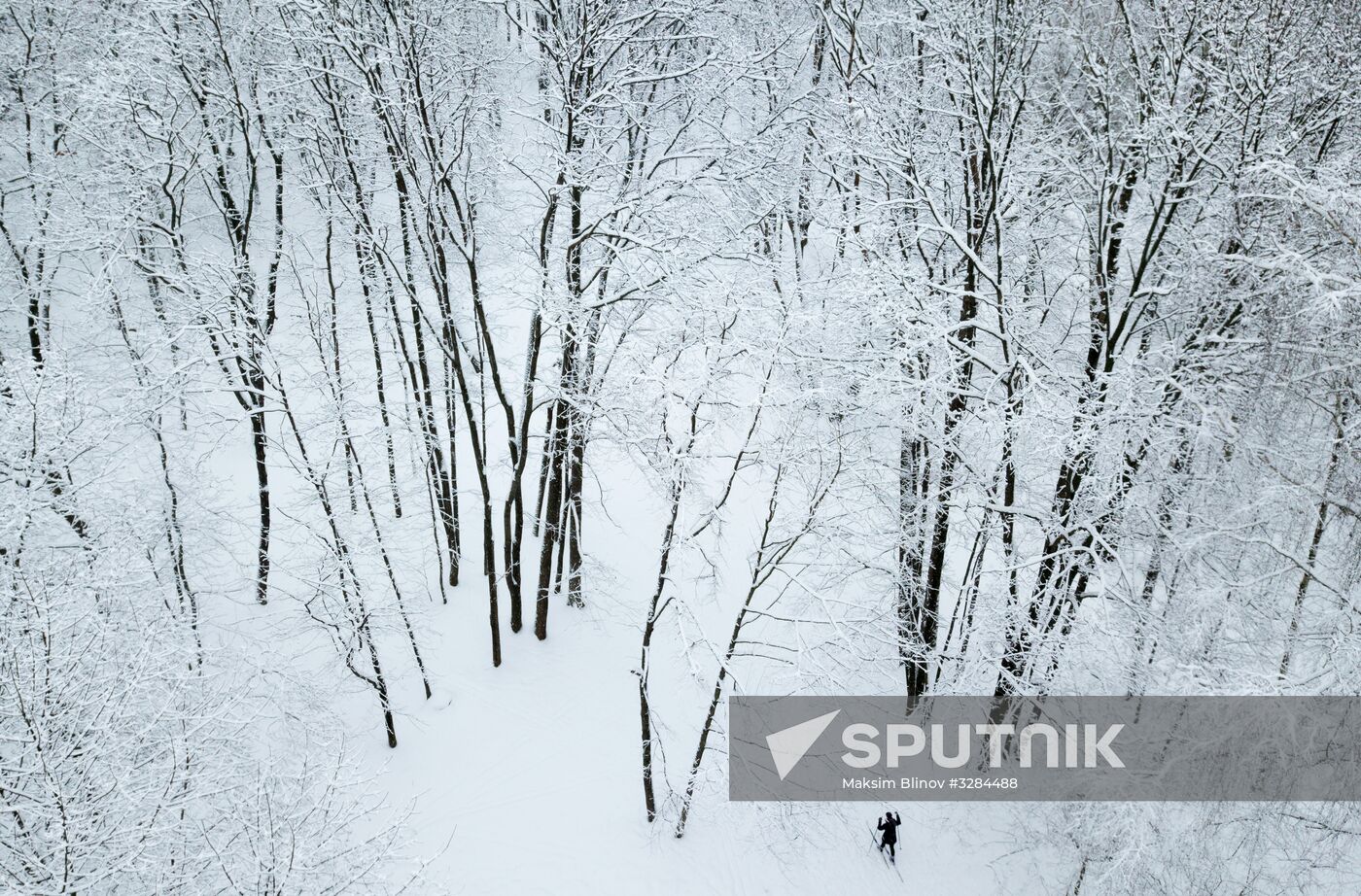Snowfall in Moscow