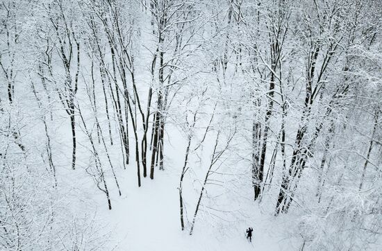 Snowfall in Moscow