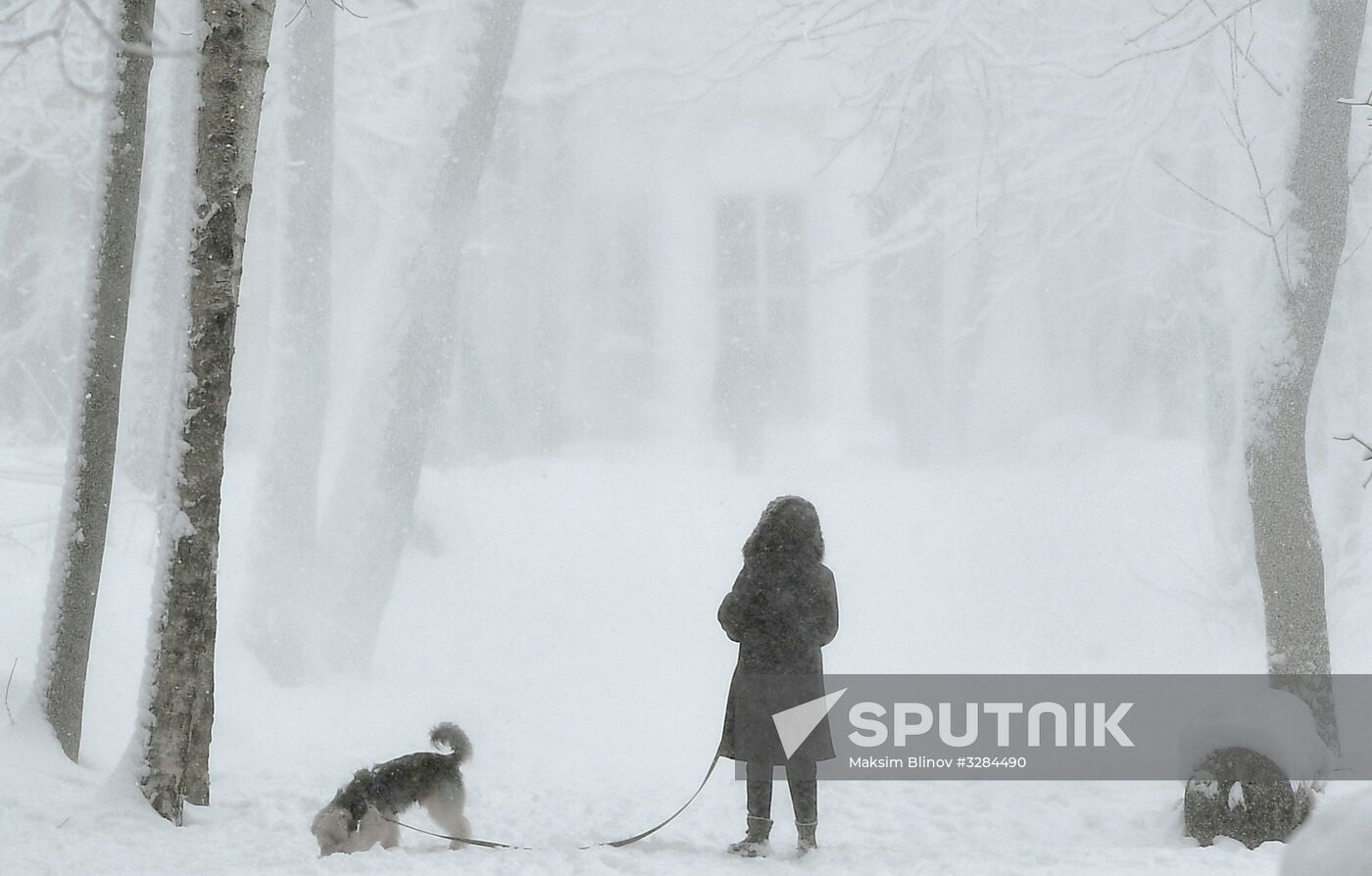 Snowfall in Moscow