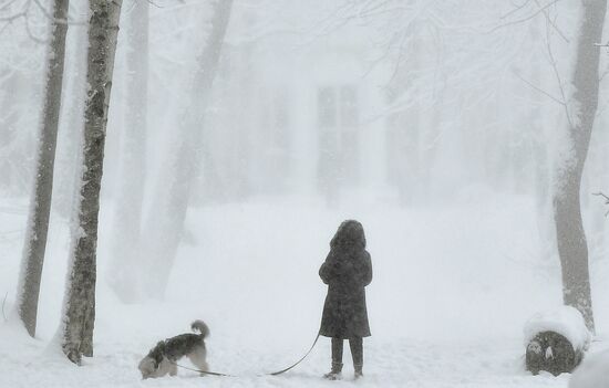 Snowfall in Moscow