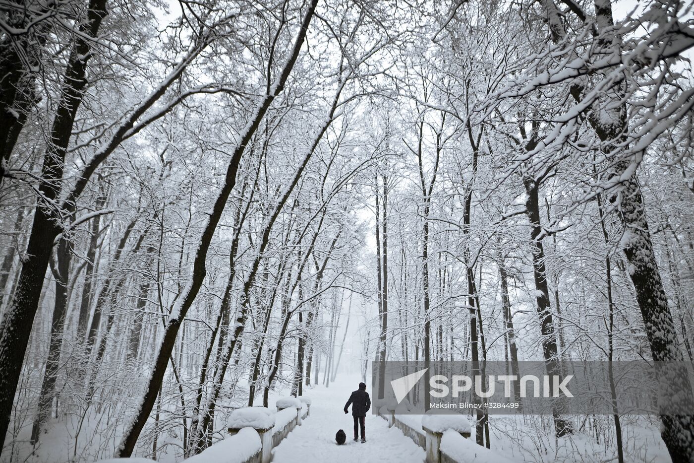 Snowfall in Moscow