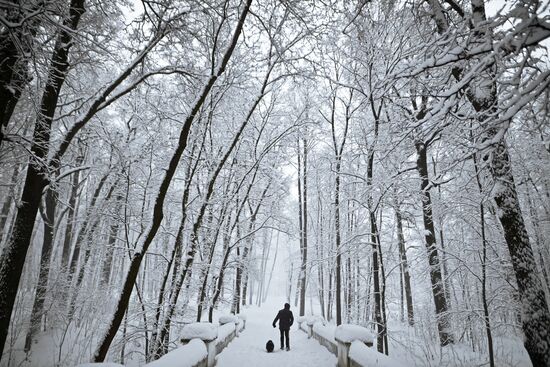 Snowfall in Moscow