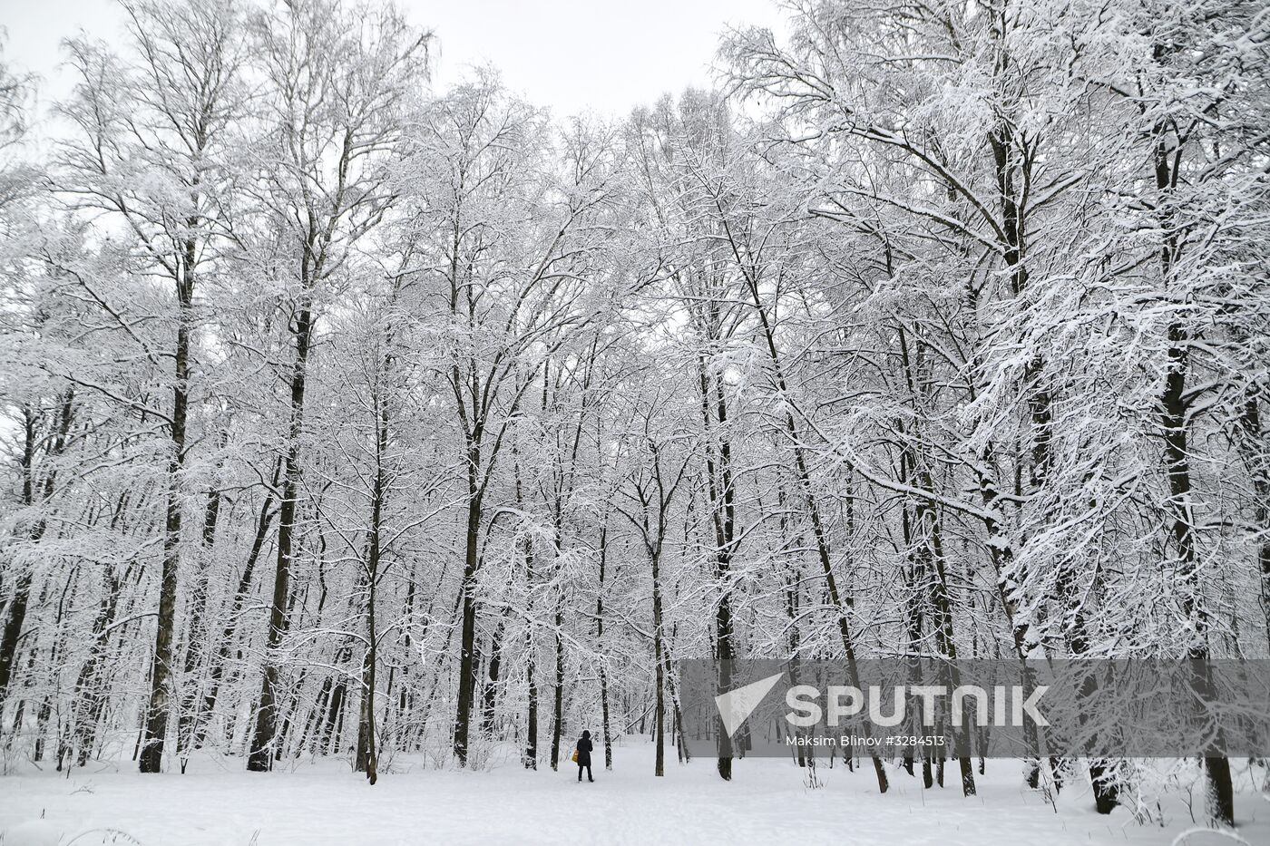 Snowfall in Moscow