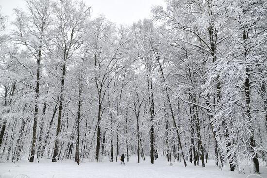 Snowfall in Moscow