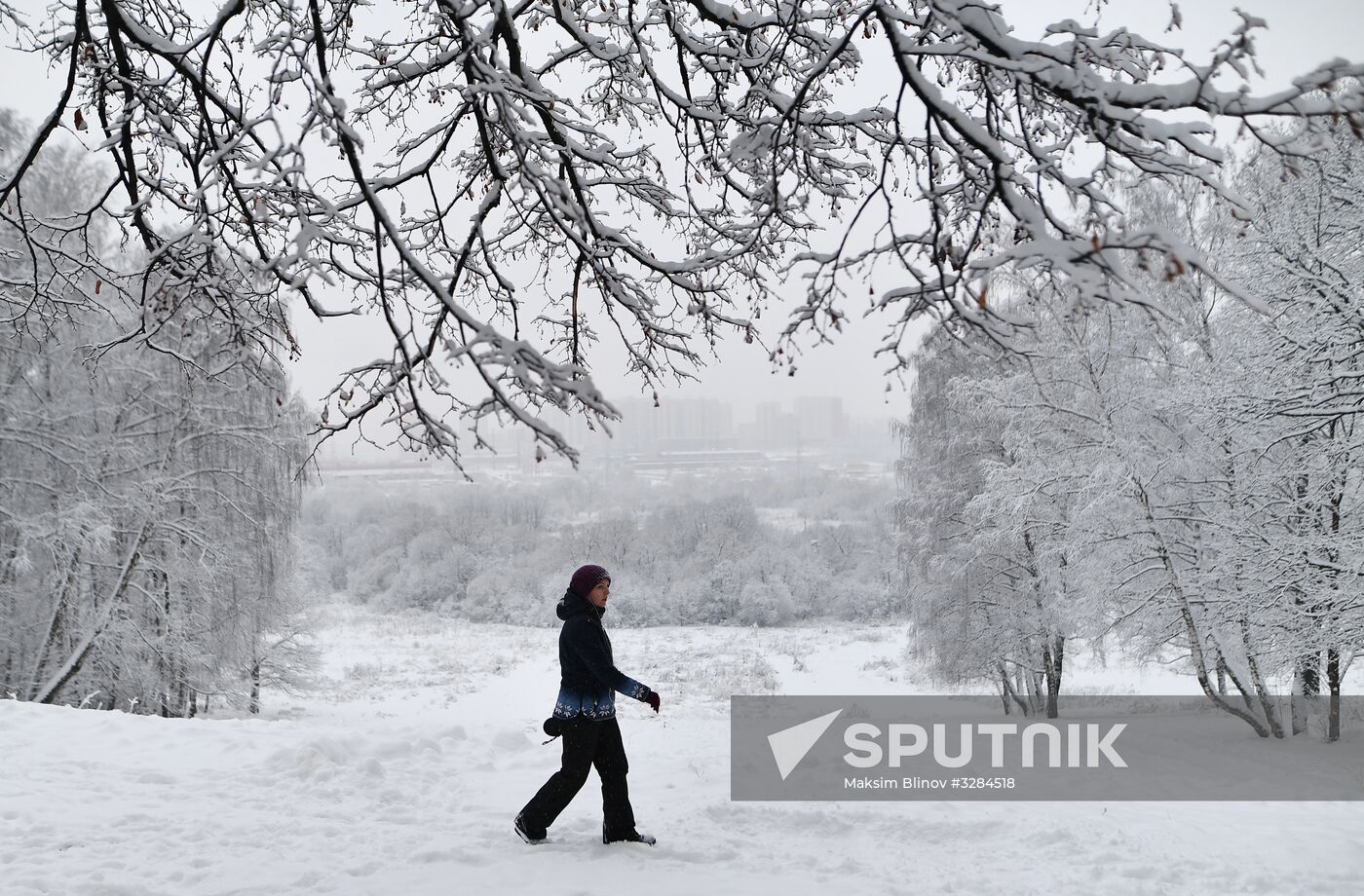 Snowfall in Moscow