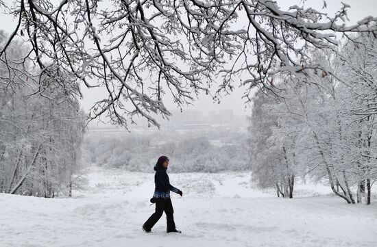 Snowfall in Moscow