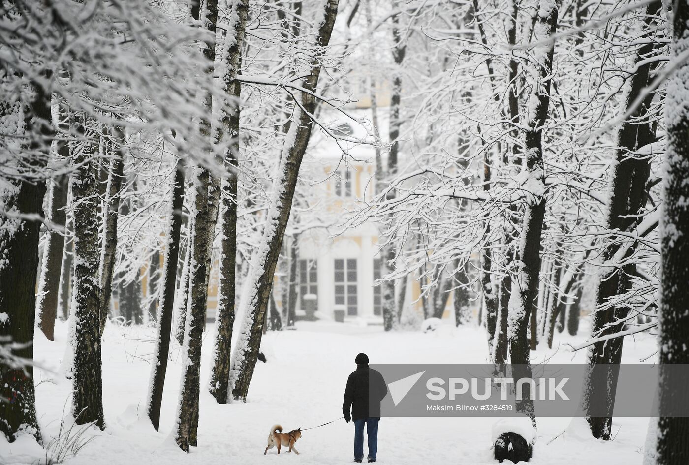 Snowfall in Moscow