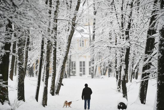 Snowfall in Moscow