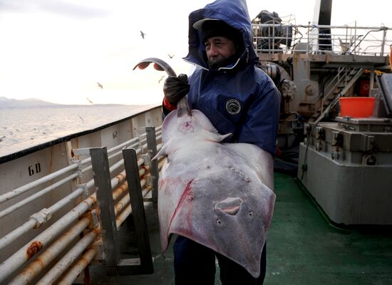 Yuzhno-Kurilsky Fish Factory