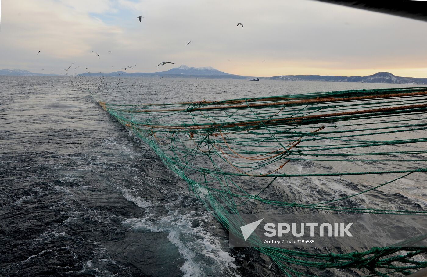 Yuzhno-Kurilsky Fish Factory