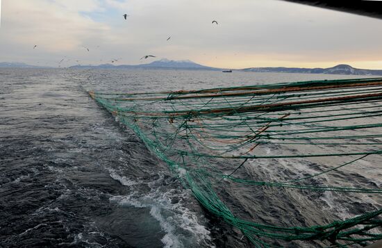 Yuzhno-Kurilsky Fish Factory