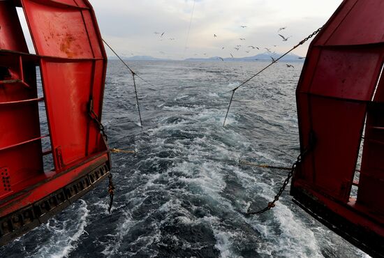 Yuzhno-Kurilsky Fish Factory