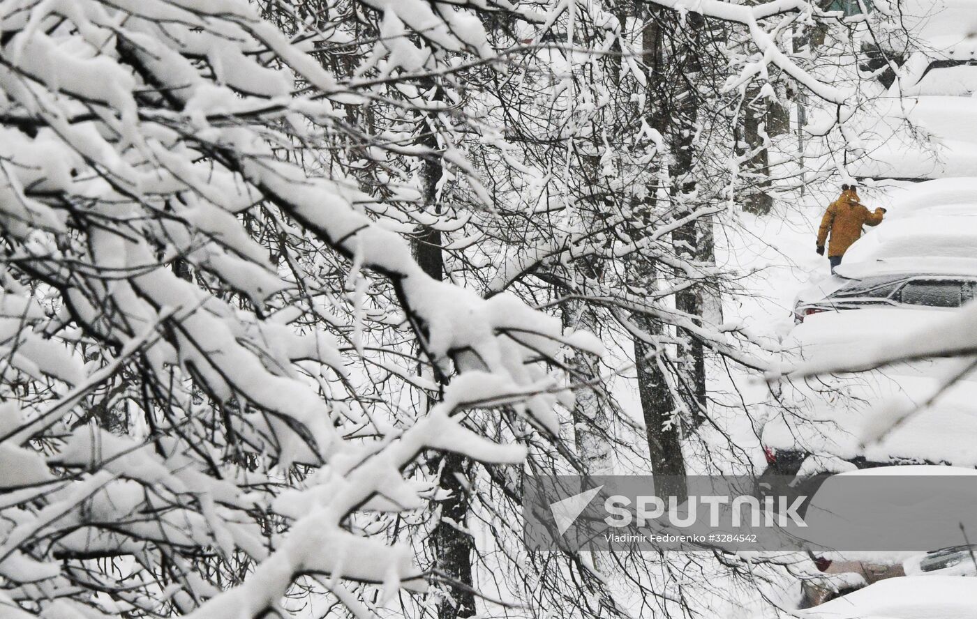 Snowfall in Moscow