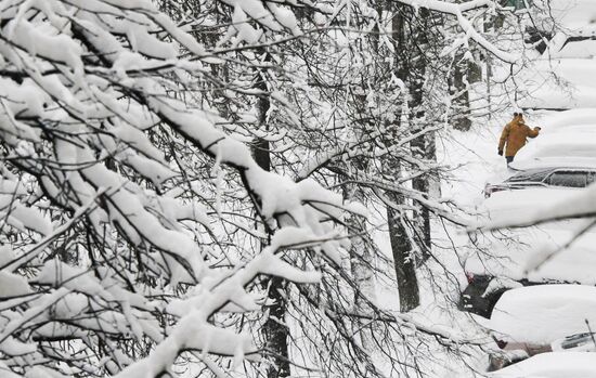 Snowfall in Moscow