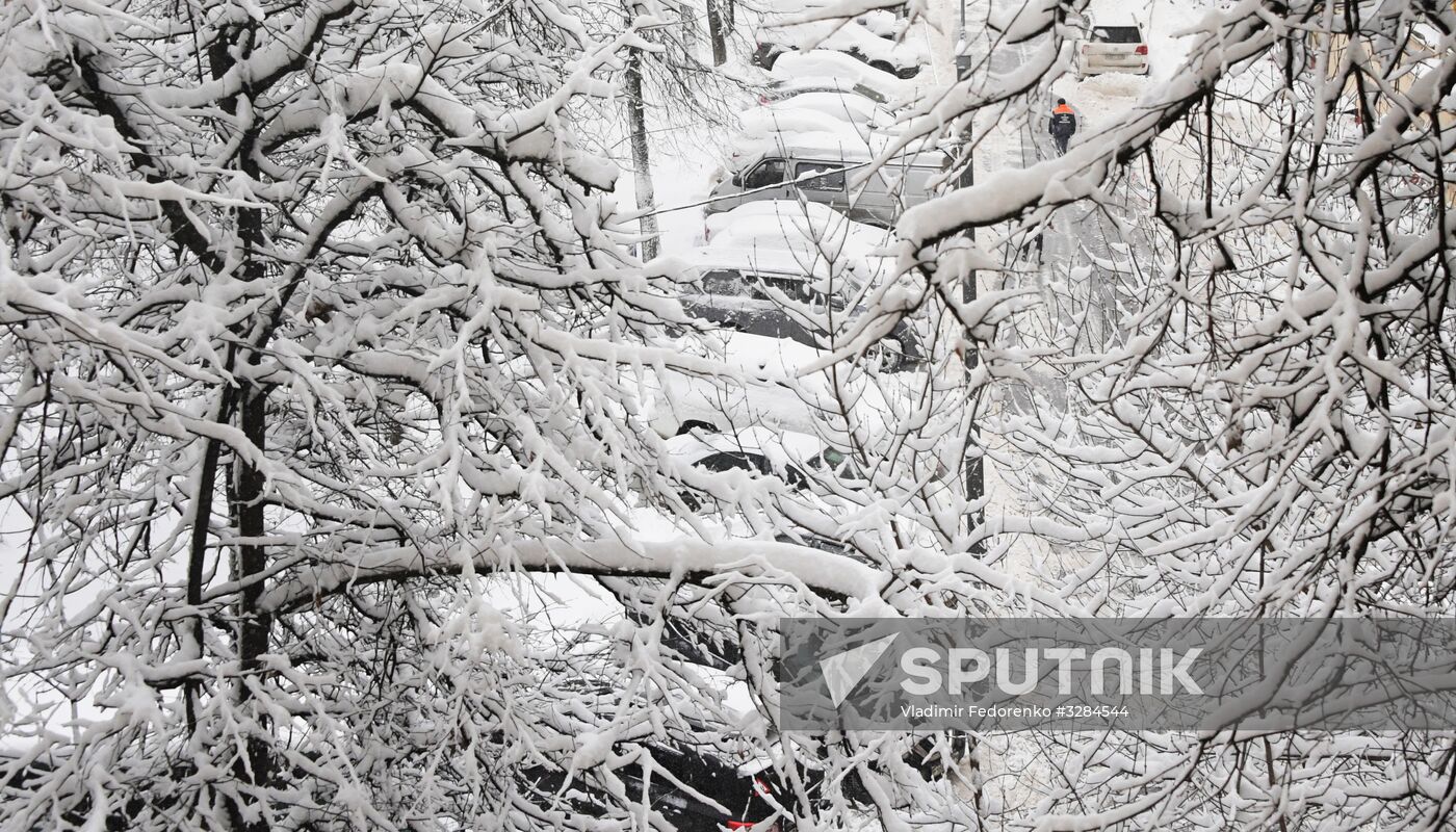 Snowfall in Moscow