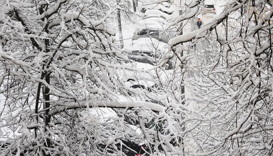 Snowfall in Moscow