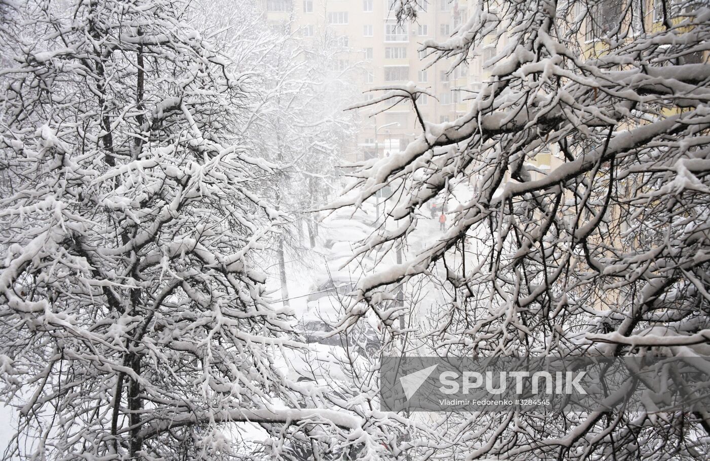Snowfall in Moscow