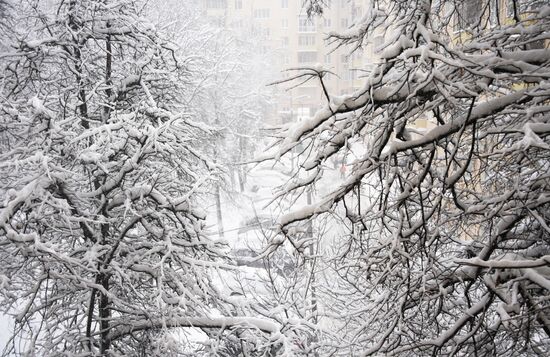 Snowfall in Moscow
