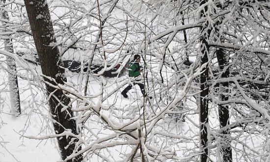 Snowfall in Moscow