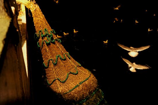 Yuzhno-Kurilsky Fish Factory