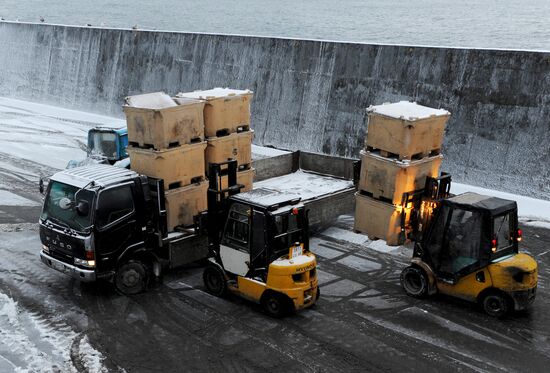 Yuzhno-Kurilsky Fish Factory