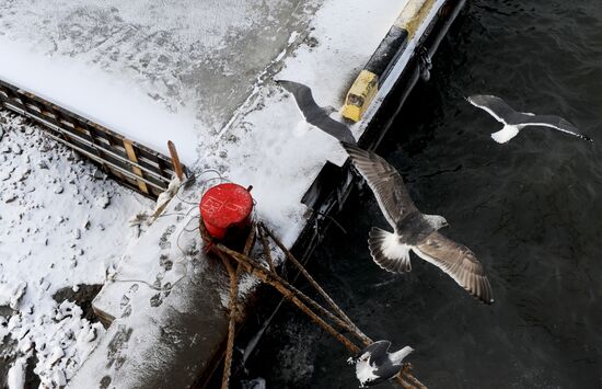Yuzhno-Kurilsky Fish Factory