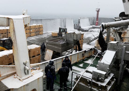 Yuzhno-Kurilsky Fish Factory