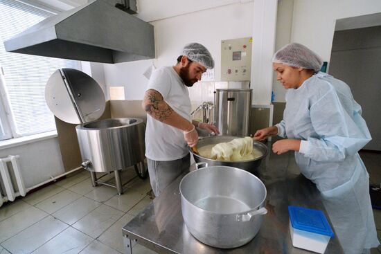 Domashnyaya cheesemaking farm in Primorye Territory