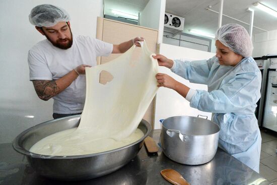 Domashnyaya cheesemaking farm in Primorye Territory