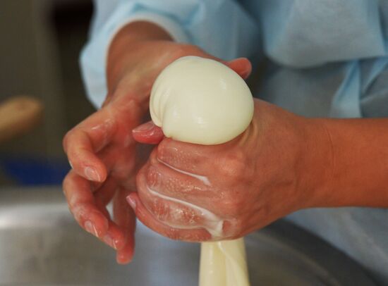 Domashnyaya cheesemaking farm in Primorye Territory