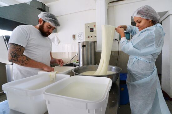 Domashnyaya cheesemaking farm in Primorye Territory