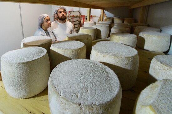 Domashnyaya cheesemaking farm in Primorye Territory