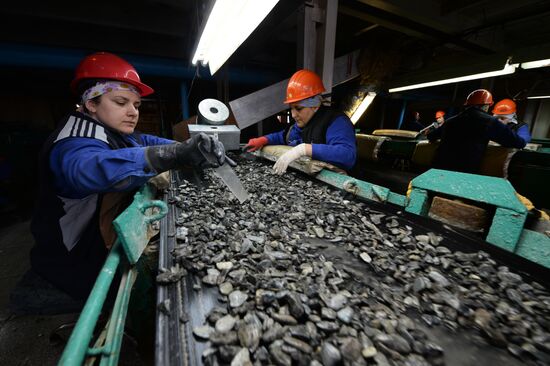 Enterprise for commercial production of emeralds in Sverdlovsk Region