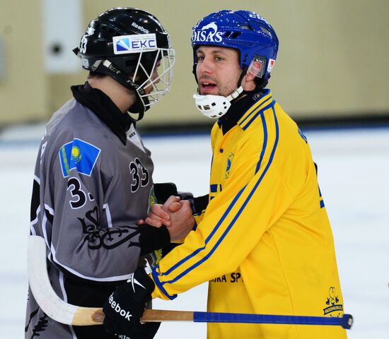 Bandy World Championship. Sweden vs. Kazakhstan