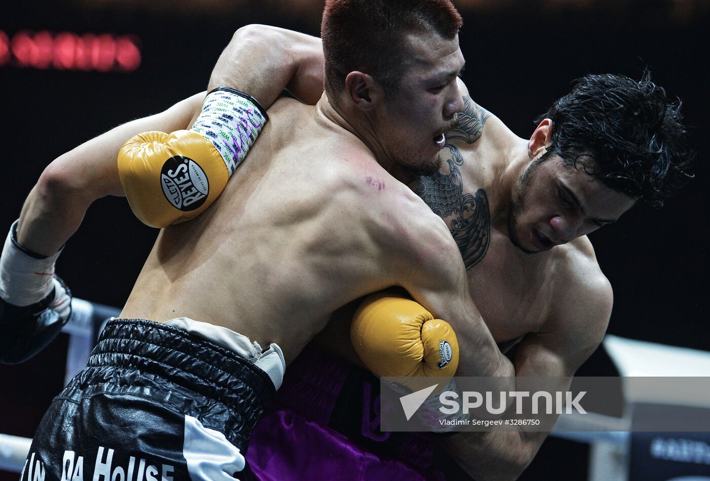 Boxing. Murat Gassiev vs. Yunier Dorticos