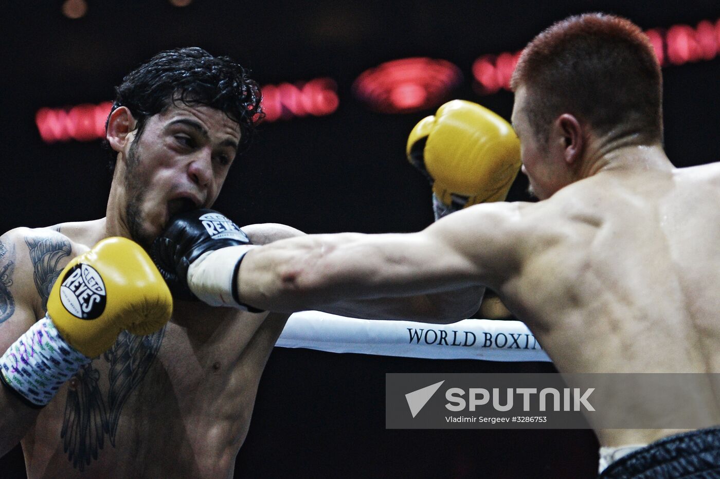 Boxing. Murat Gassiev vs. Yunier Dorticos