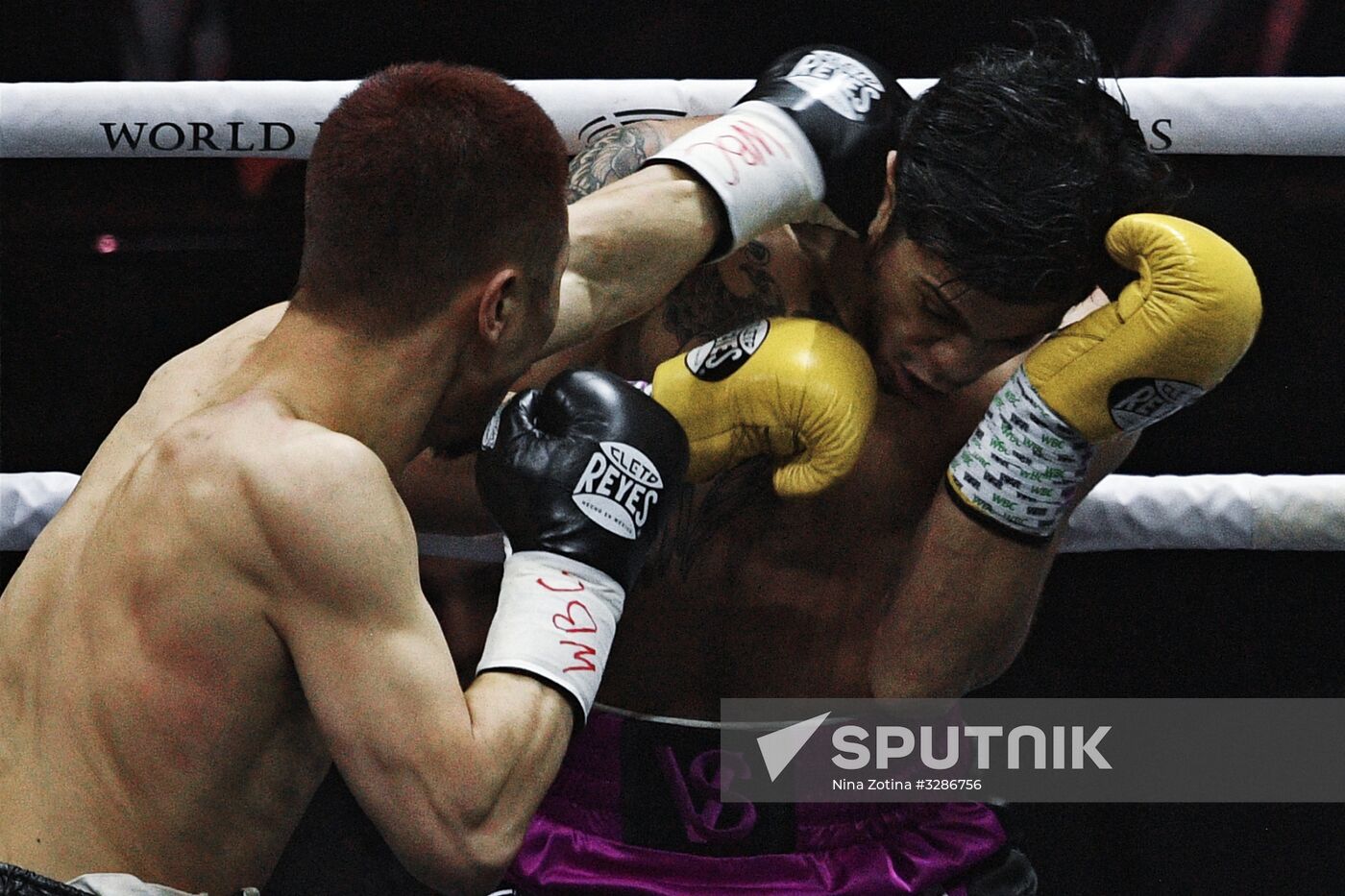 Boxing. Murat Gassiev vs. Yunier Dorticos