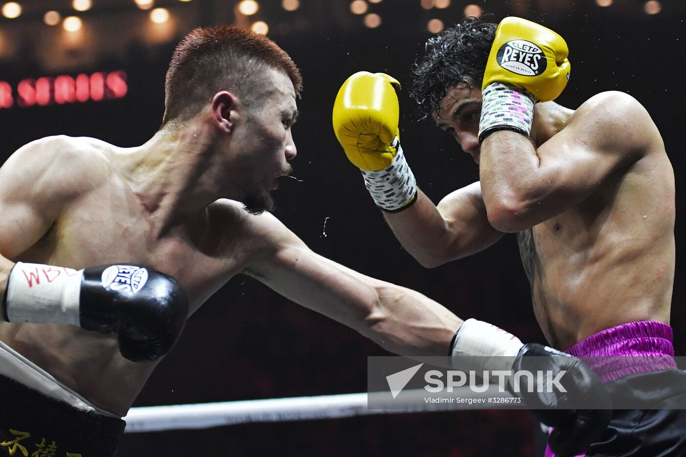 Boxing. Murat Gassiev vs. Yunier Dorticos