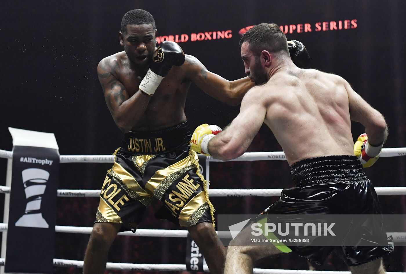 Boxing. Murat Gassiev vs. Yunier Dorticos